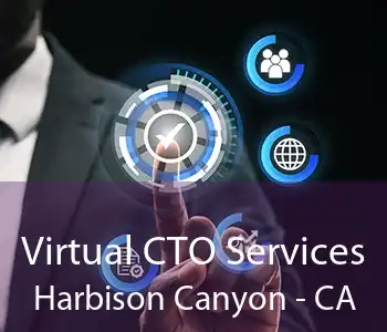 Virtual CTO Services Harbison Canyon - CA