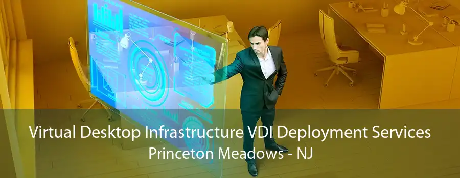 Virtual Desktop Infrastructure VDI Deployment Services Princeton Meadows - NJ