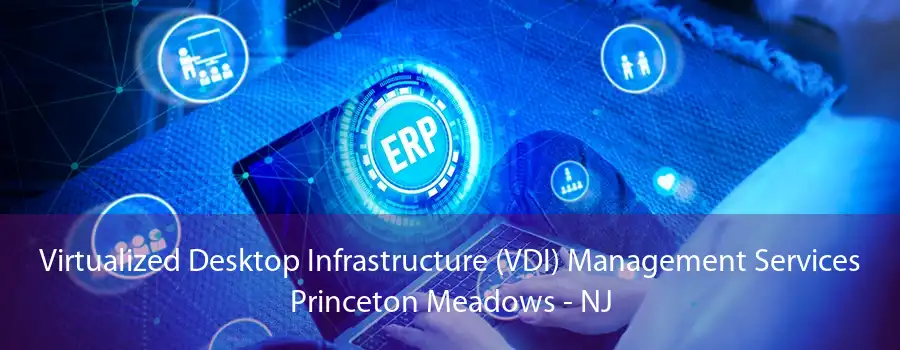 Virtualized Desktop Infrastructure (VDI) Management Services Princeton Meadows - NJ