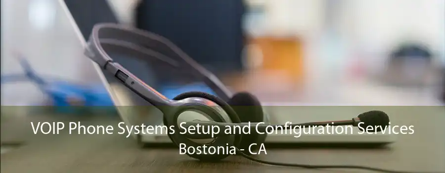 VOIP Phone Systems Setup and Configuration Services Bostonia - CA