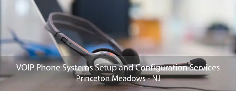 VOIP Phone Systems Setup and Configuration Services Princeton Meadows - NJ