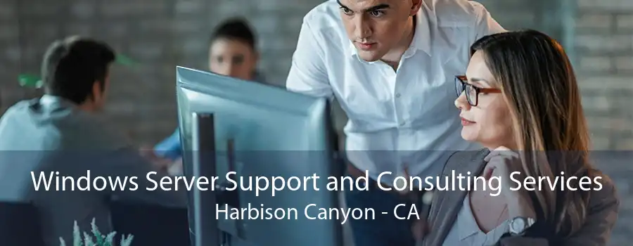 Windows Server Support and Consulting Services Harbison Canyon - CA