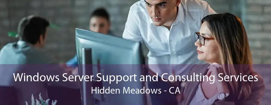 Windows Server Support and Consulting Services Hidden Meadows - CA