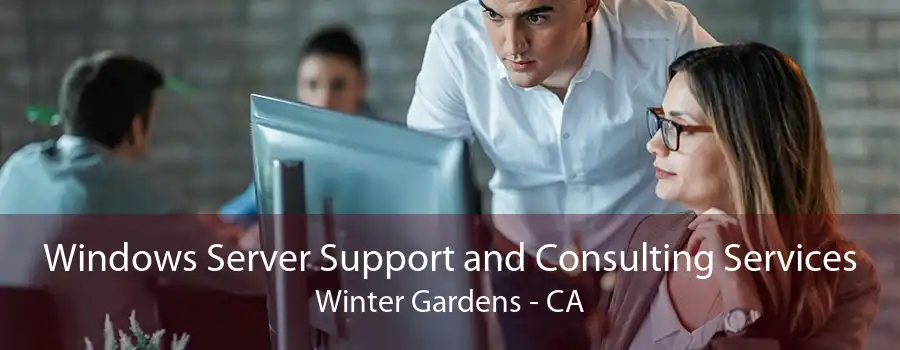 Windows Server Support and Consulting Services Winter Gardens - CA